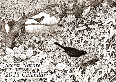 2025 Wildlife Calendar now available