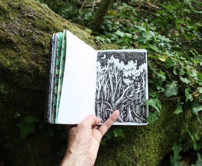 Forest sketchbook - bat forest