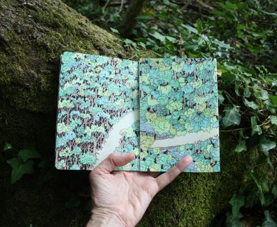 Forest sketchbook - Seima Forest