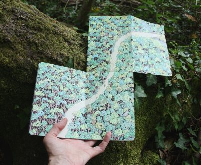 Forest sketchbook - Seima Forest