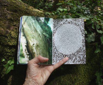 Forest sketchbook - photo and spiral writing