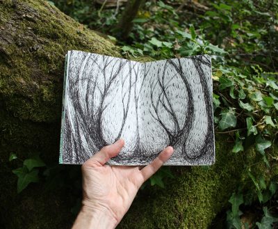 Forest sketchbook- scratchy trees