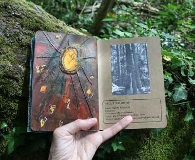 Forest sketchbook - seed in the leaflitter