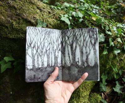 Forest sketchbook - pen and wash