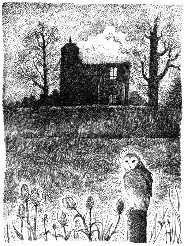 Barn Owl of Baconsthorpe