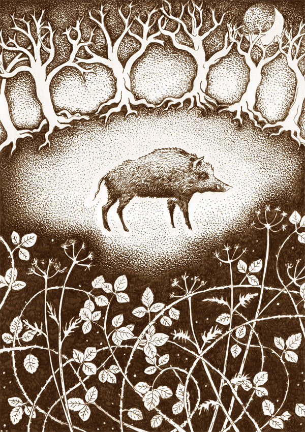 Wild Boar in the Bracken